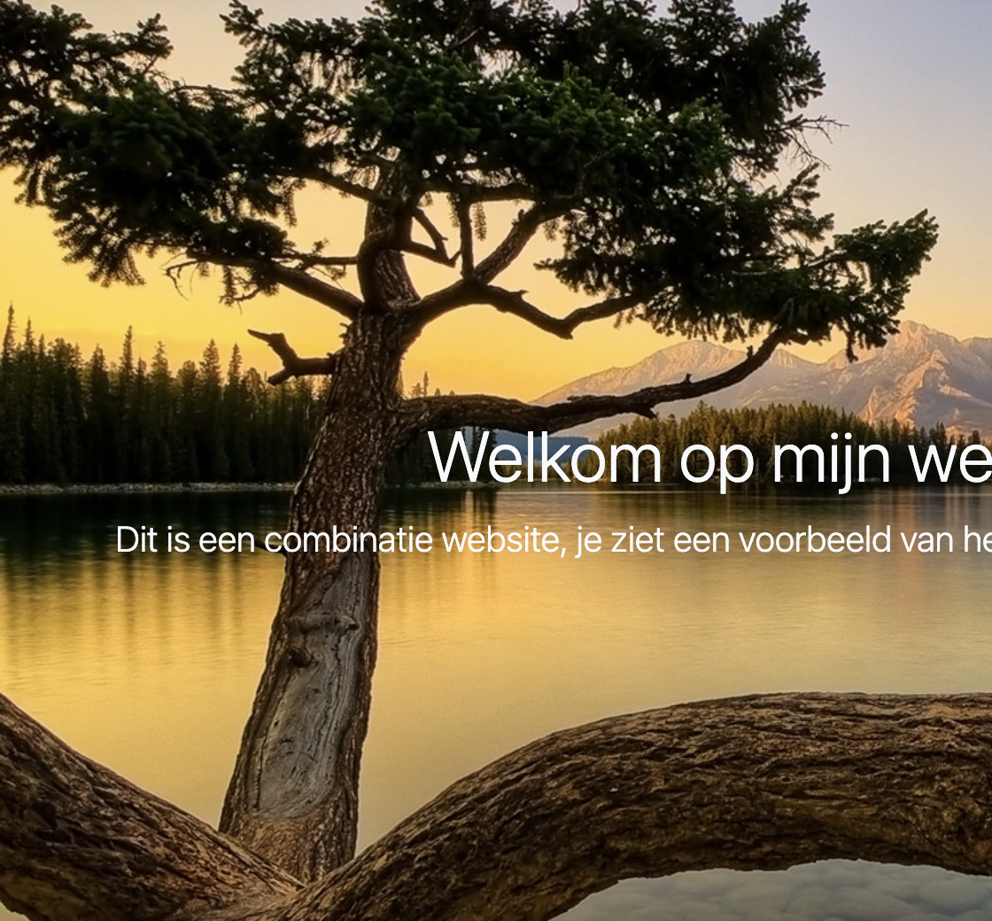 voorbeeld van deze website